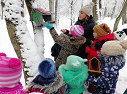 Участие в зимней акции «Покормите птиц зимой!»
